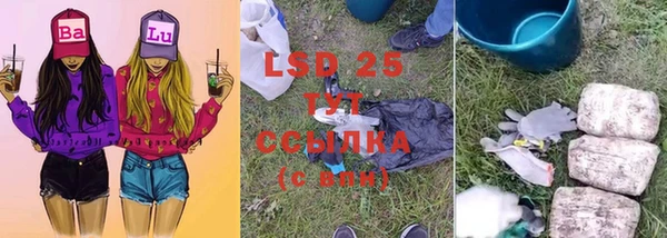 соль ск Надым