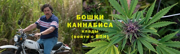 индика Навашино