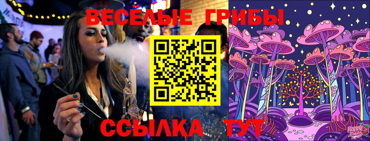 Псилоцибиновые грибы Cubensis  Вход с VPN  Абакан 