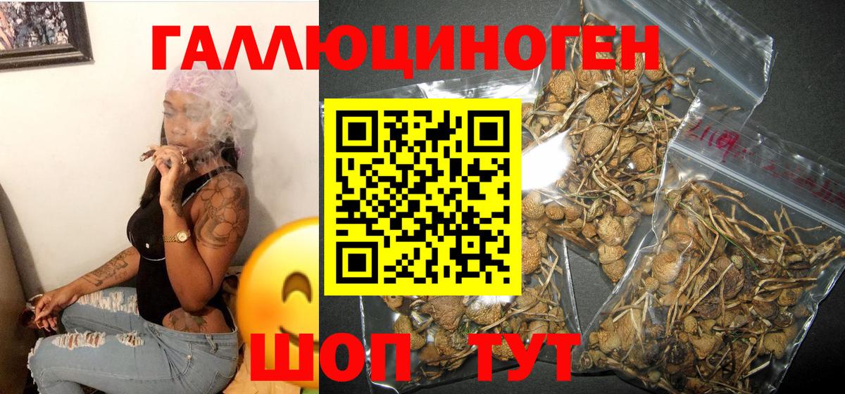 ГАШИШ Абакан